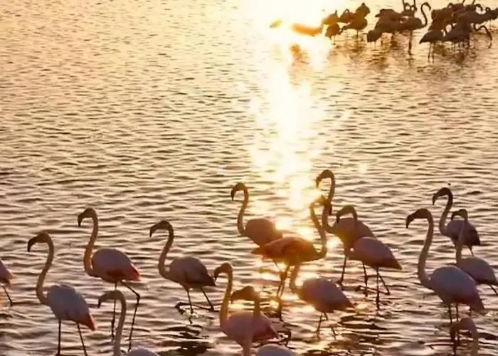Le Nova Blue Les Pieds Dans L'eau Apartamento