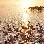 Le Nova Blue Les Pieds Dans L'eau Apartamento