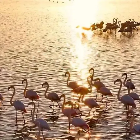 Le Nova Blue Les Pieds Dans L'eau Apartment